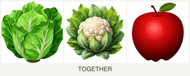 Can you plant lettuce, cauliflower and apples together?