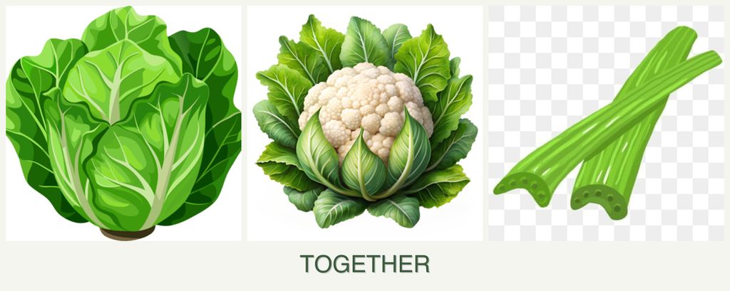 Can you plant lettuce, cauliflower and celery together?
