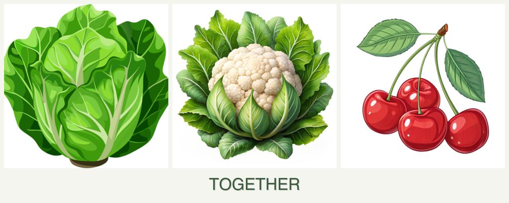 Can you plant lettuce, cauliflower and cherries together?