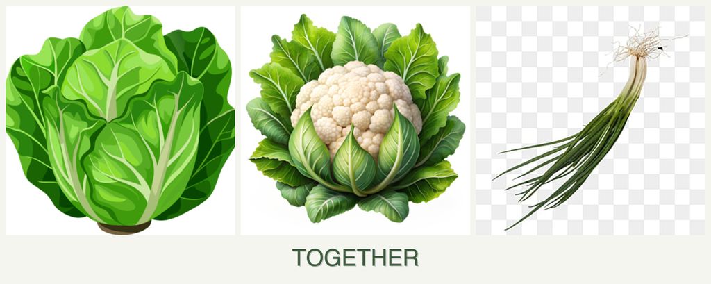 Can you plant lettuce, cauliflower and chives together?