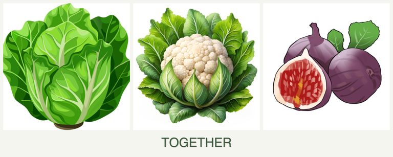 Can you plant lettuce, cauliflower and figs together?