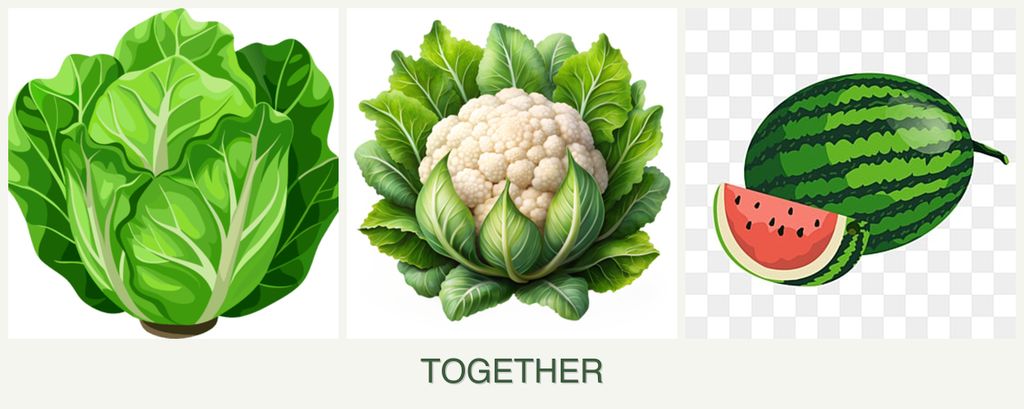 Can you plant lettuce, cauliflower and melons together?