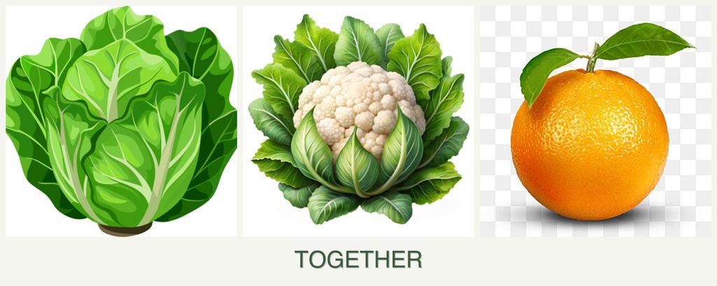 Can you plant lettuce, cauliflower and oranges together?