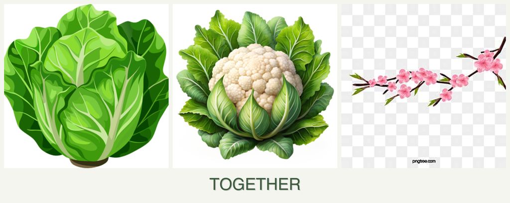 Can you plant lettuce, cauliflower and peaches together?