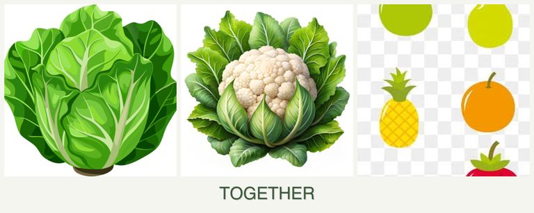 Can you plant lettuce, cauliflower and pears together?