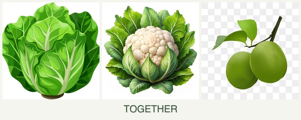 Can you plant lettuce, cauliflower and plums together?