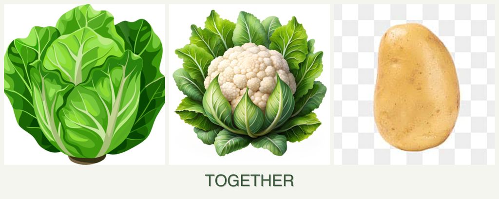 Can you plant lettuce, cauliflower and potatoes together?