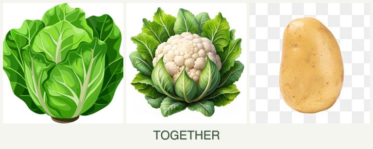 Can you plant lettuce, cauliflower and potatoes together?