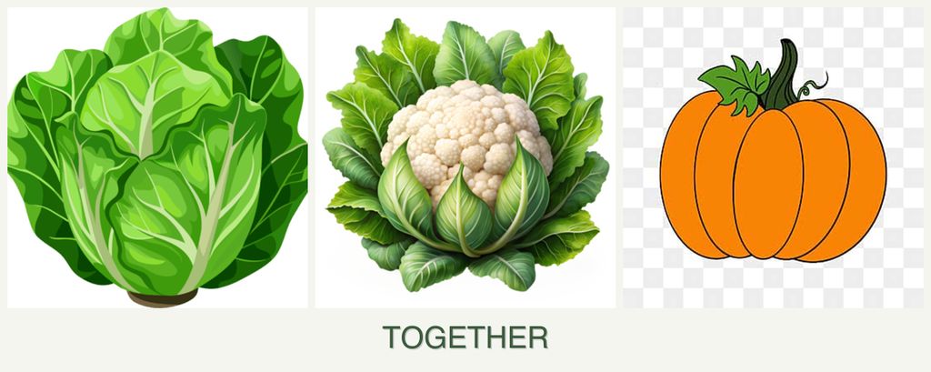 Can you plant lettuce, cauliflower and pumpkin together?