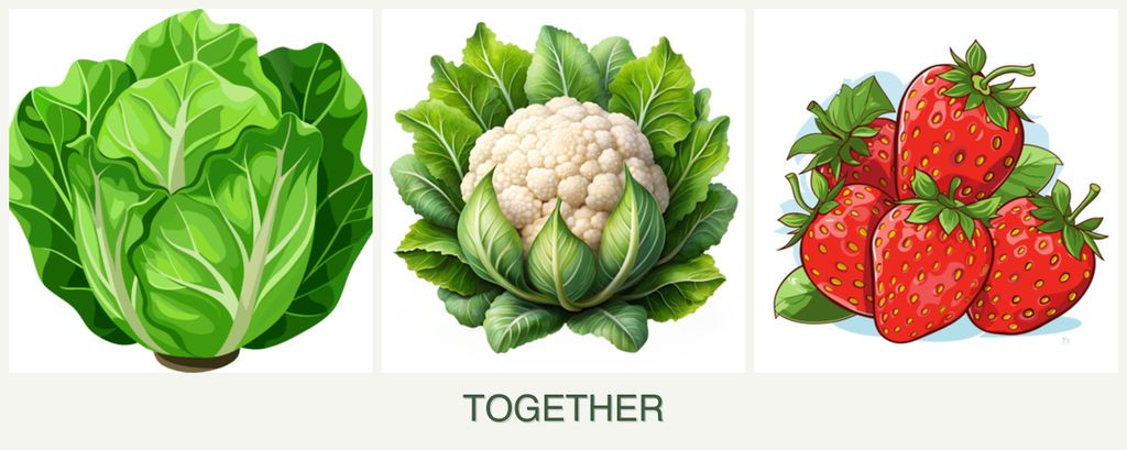 Can you plant lettuce, cauliflower and strawberries together?