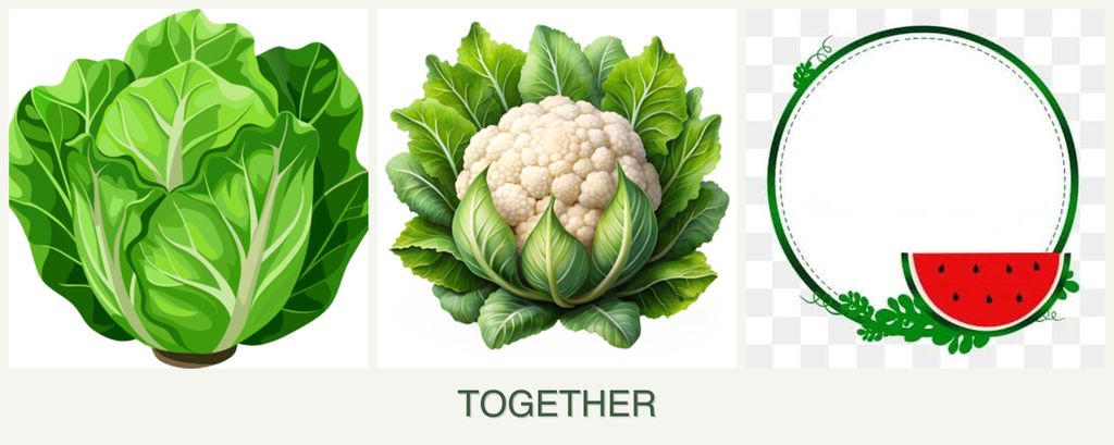 Can you plant lettuce, cauliflower and watermelons together?