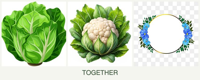 Can you plant lettuce, cauliflower and zinnias together?