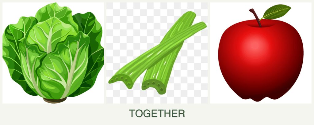 Can you plant lettuce, celery and apples together?