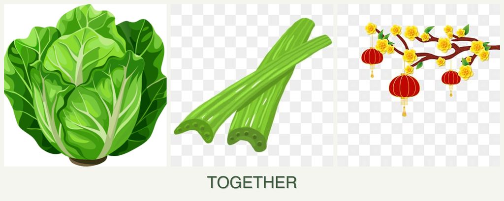 Can you plant lettuce, celery and apricots together?