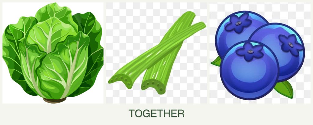 Can you plant lettuce, celery and blueberries together?