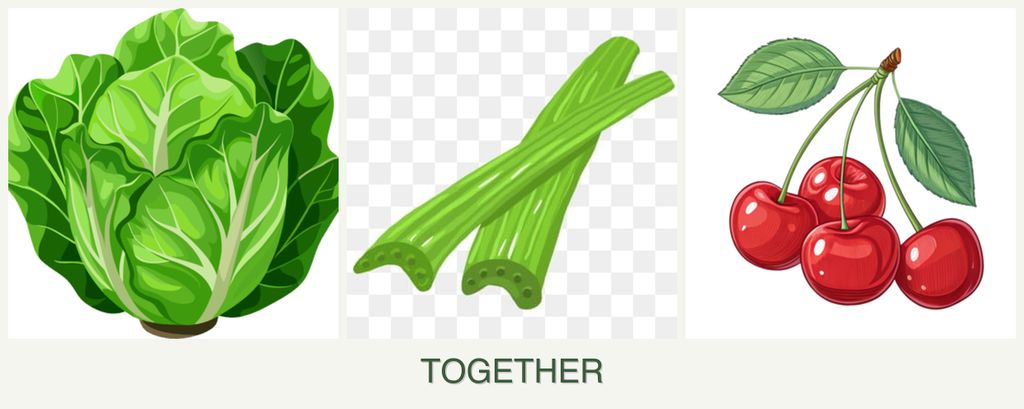 Can you plant lettuce, celery and cherries together?