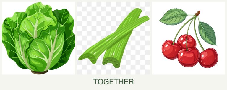 Can you plant lettuce, celery and cherries together?