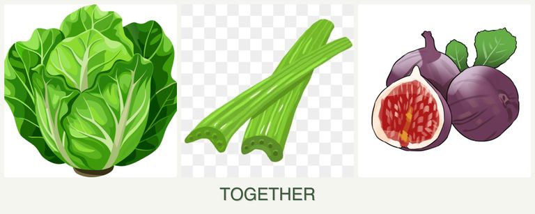 Can you plant lettuce, celery and figs together?