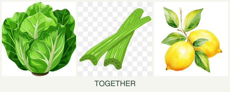 Can you plant lettuce, celery and lemons together?