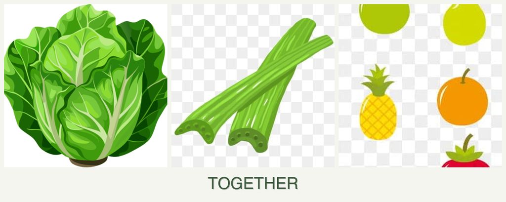 Can you plant lettuce, celery and pears together?