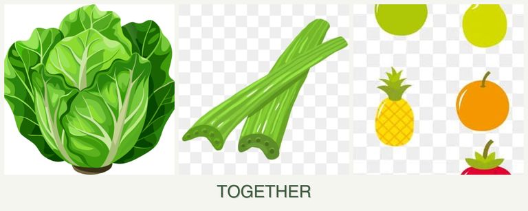 Can you plant lettuce, celery and pears together?