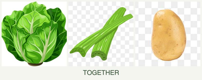 Can you plant lettuce, celery and potatoes together?