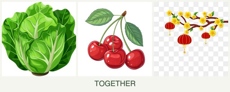 Can you plant lettuce, cherries and apricots together?