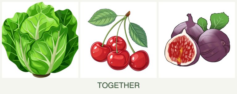 Can you plant lettuce, cherries and figs together?