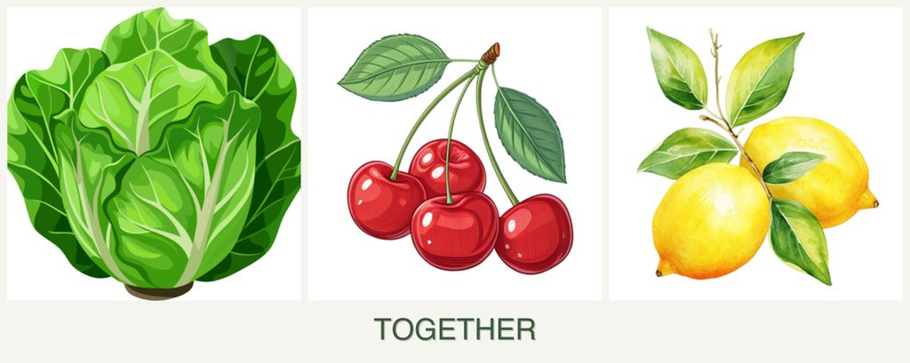 Can you plant lettuce, cherries and lemons together?