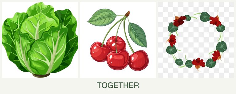 Can you plant lettuce, cherries and nasturtiums together?