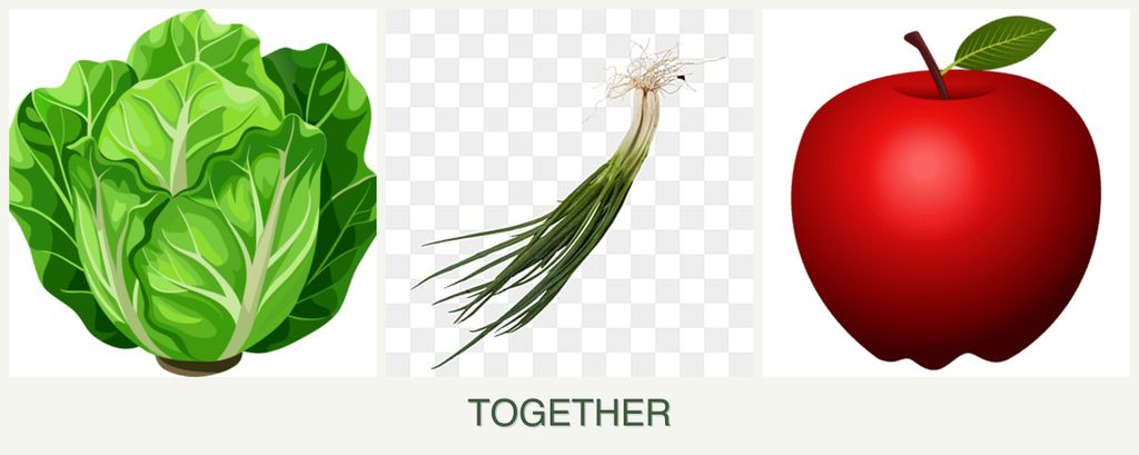 Can you plant lettuce, chives and apples together?