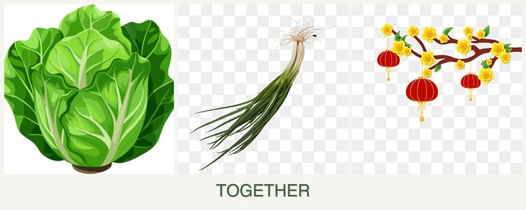 Can you plant lettuce, chives and apricots together?