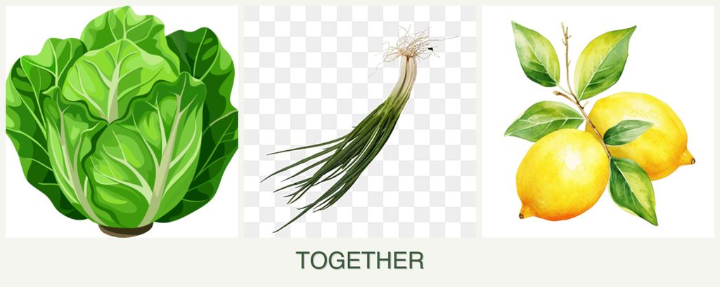Can you plant lettuce, chives and lemons together?