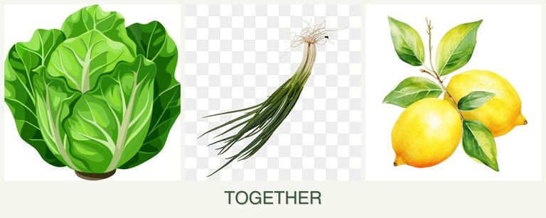 Can you plant lettuce, chives and lemons together?