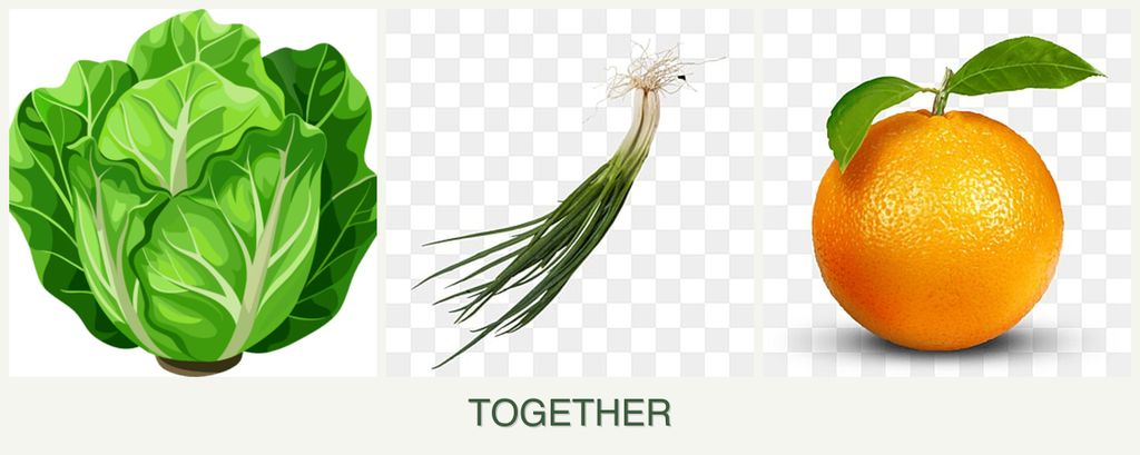 Can you plant lettuce, chives and oranges together?