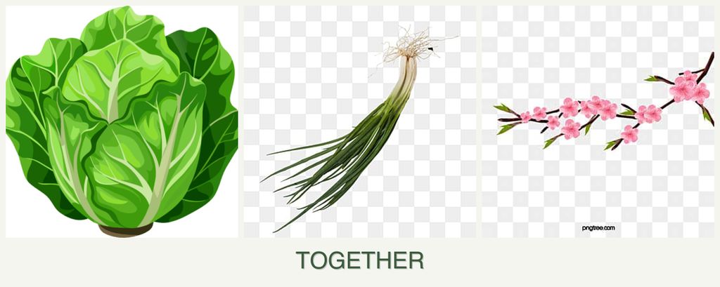 Can you plant lettuce, chives and peaches together?