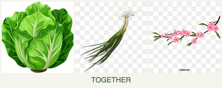 Can you plant lettuce, chives and peaches together?