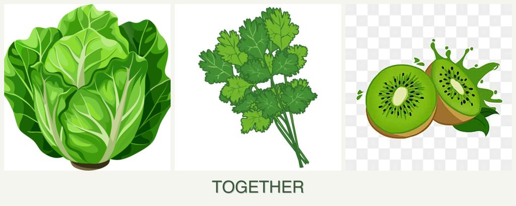 Can you plant lettuce, cilantro and kiwi together?