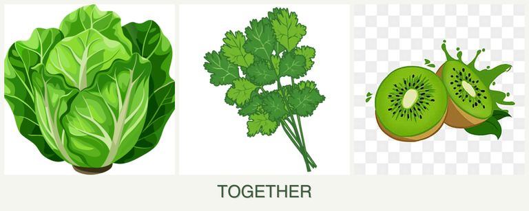 Can you plant lettuce, cilantro and kiwi together?