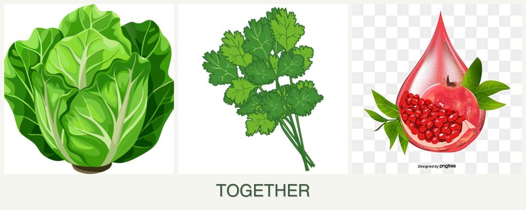 Can you plant lettuce, cilantro and pomegranates together?