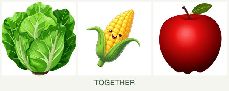 Can you plant lettuce, corn and apples together?