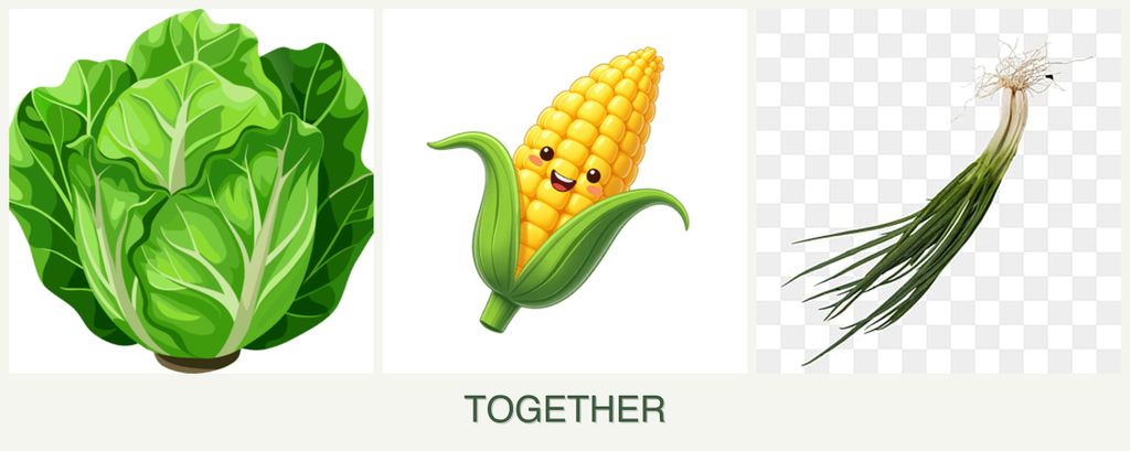 Can you plant lettuce, corn and chives together?