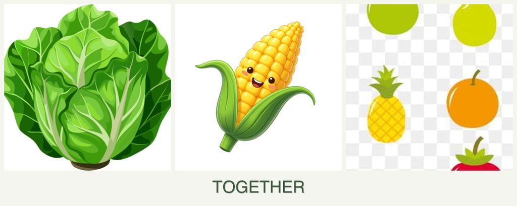 Can you plant lettuce, corn and pears together?