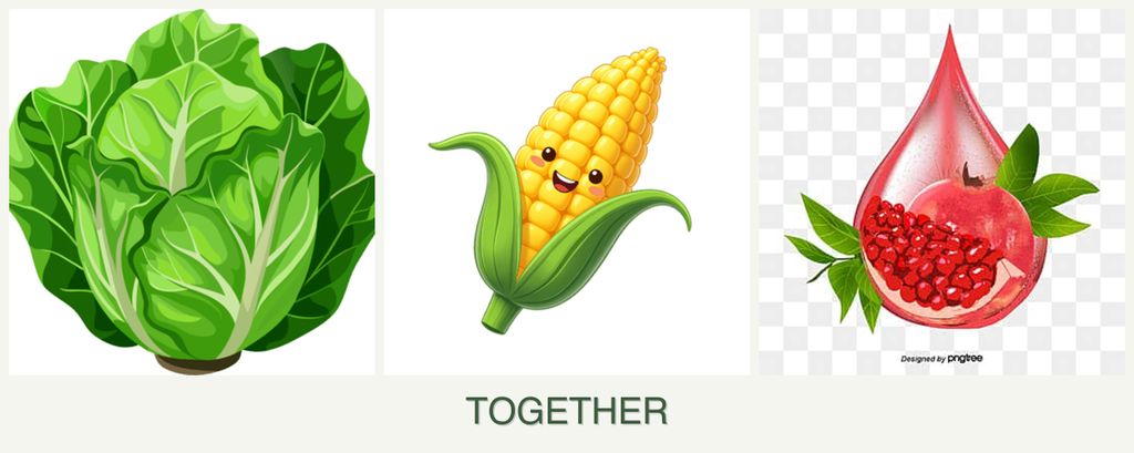 Can you plant lettuce, corn and pomegranates together?