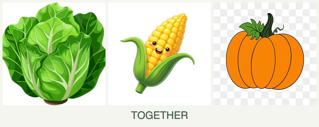 Can you plant lettuce, corn and pumpkin together?
