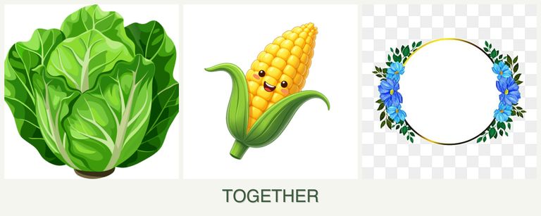 Can you plant lettuce, corn and zinnias together?