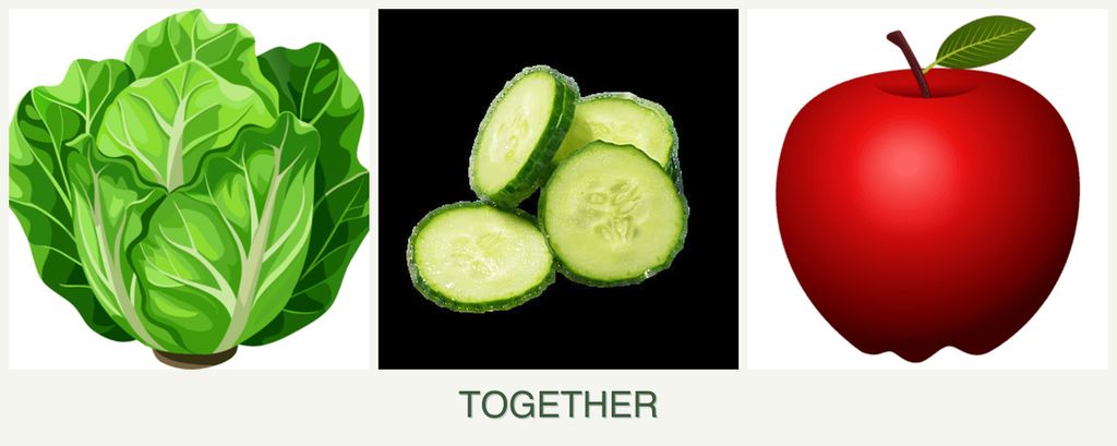 Can you plant lettuce, cucumbers and apples together?