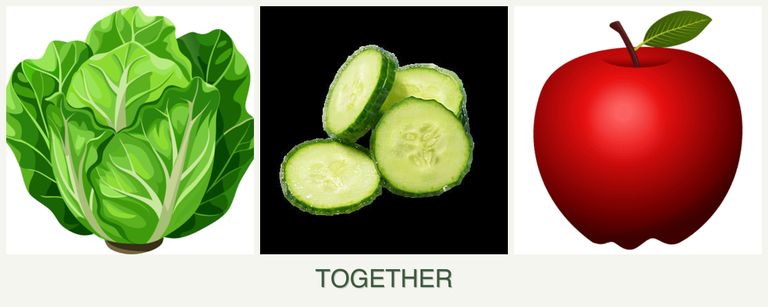 Can you plant lettuce, cucumbers and apples together?