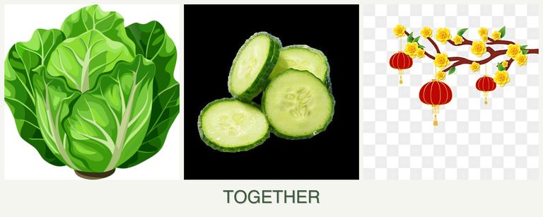 Can you plant lettuce, cucumbers and apricots together?