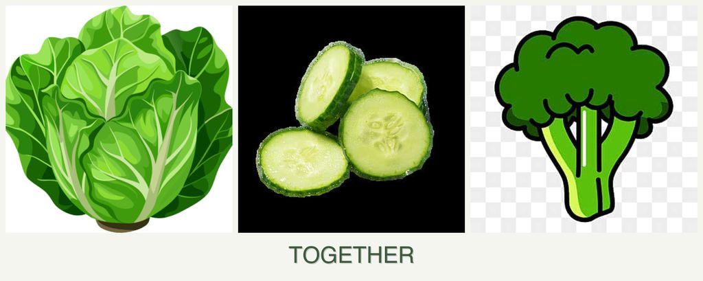 Can you plant lettuce, cucumbers and broccoli together?